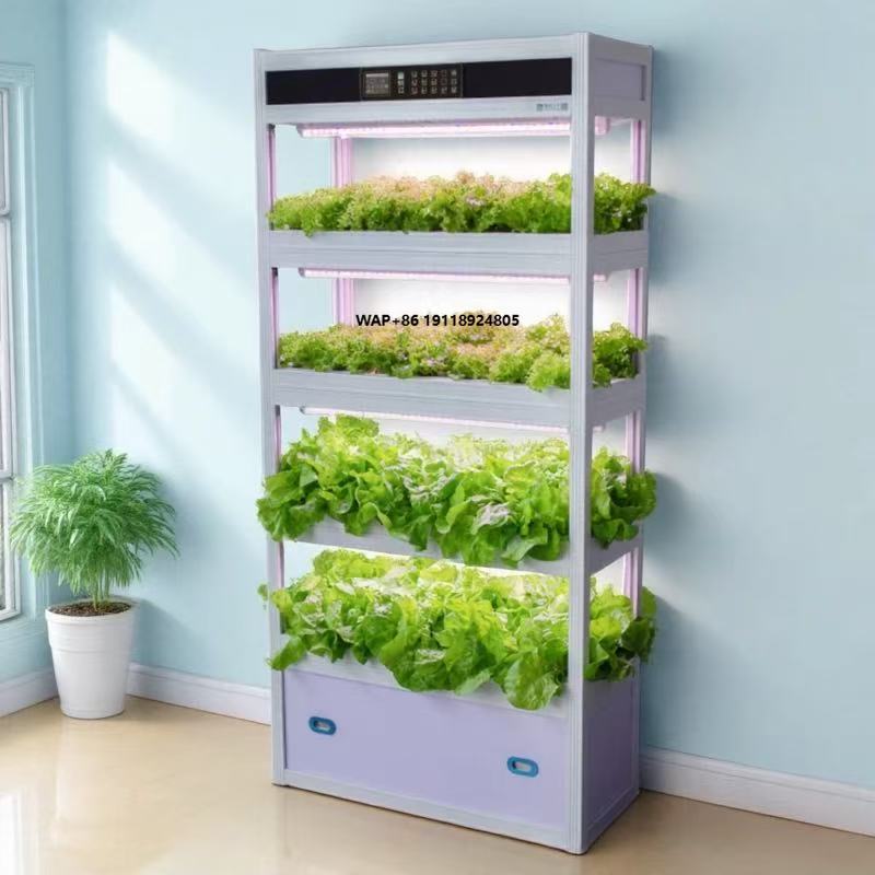 Hydroponic System - 屋内インテリジェント土壌レス栽培水耕栽培野菜栽培装置フレームシステムオープン型プランター植物工場