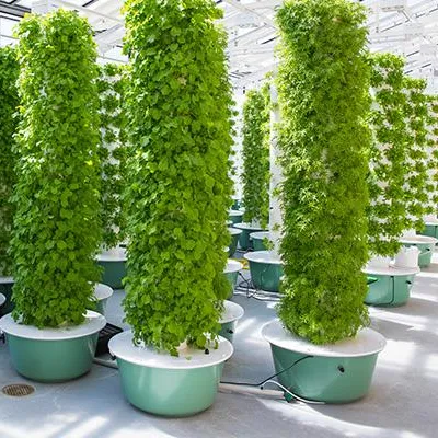 Hydroponic System - エアロポニックタワーガーデンシステム（照明付き）60株エアロポニック垂直栽培システム垂直タワー水耕栽培システム