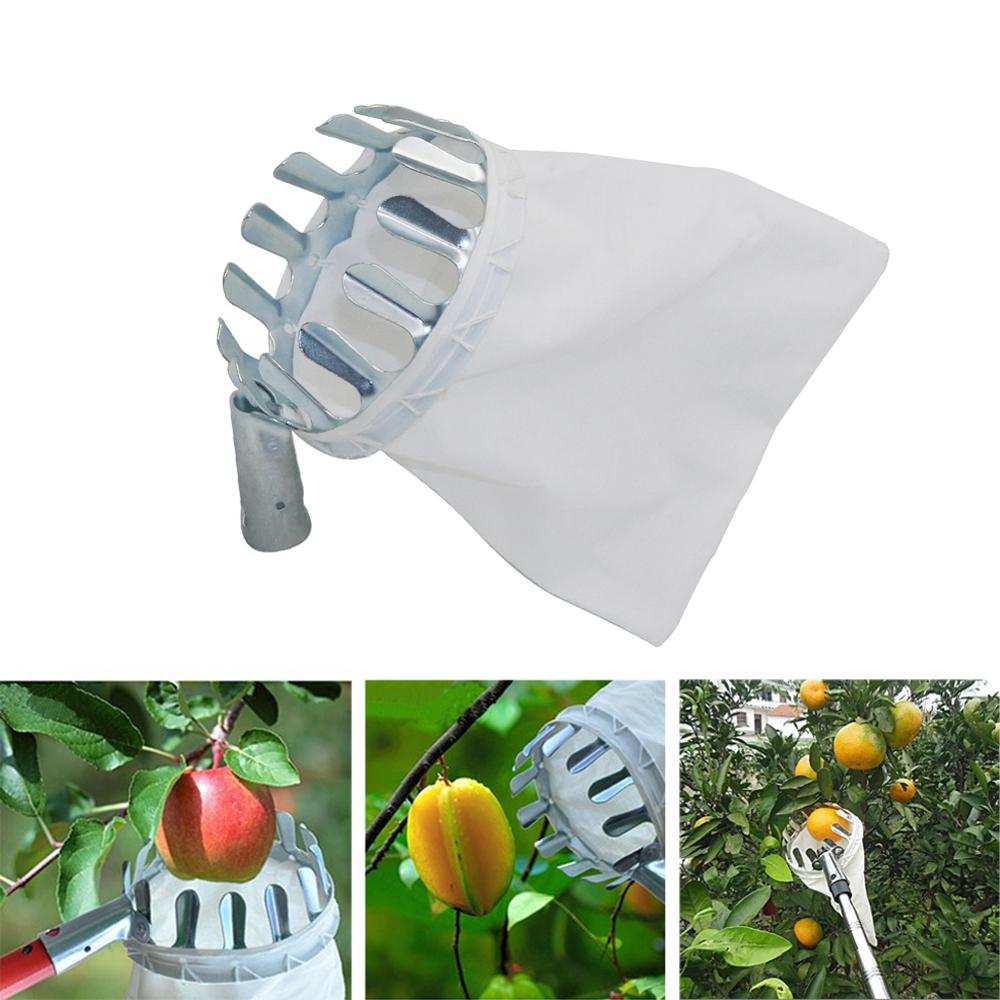 Gardening Tools Long - 庭の剪定ばさみ,果物の摘み取り,釣りの木のパンチ,金属,長い,収集ツール,1個