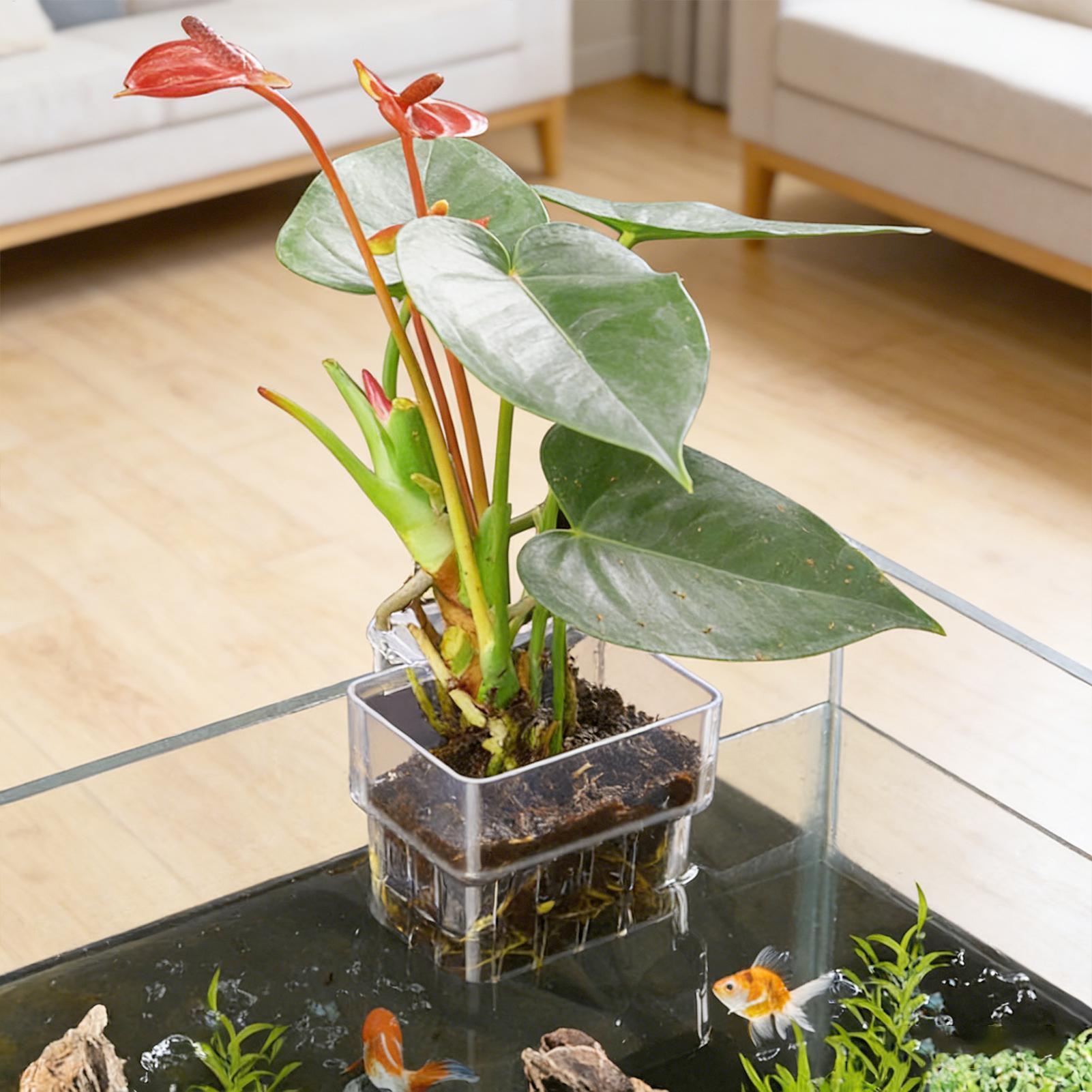 Hanging Planter Basket - 水槽植物バスケット透明水槽吊り下げ装飾ポット水生植物ホルダー水生植物カップ水槽プランター