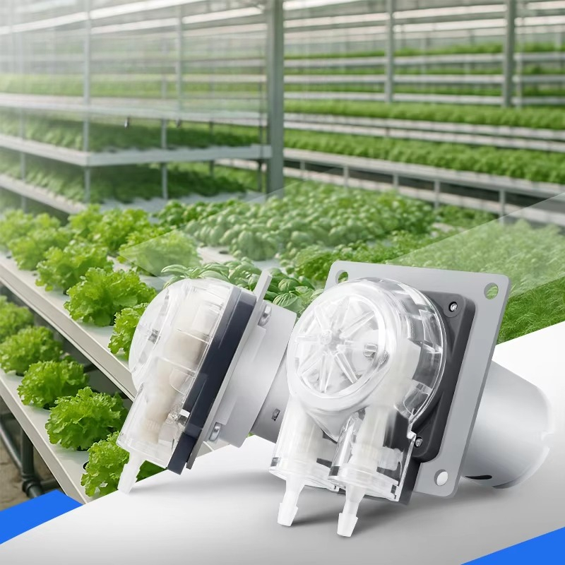Hydroponic System - 低騒音12V 24V DCモーター 280ml/min phドーザー マイクロペリスタルティックポンプ