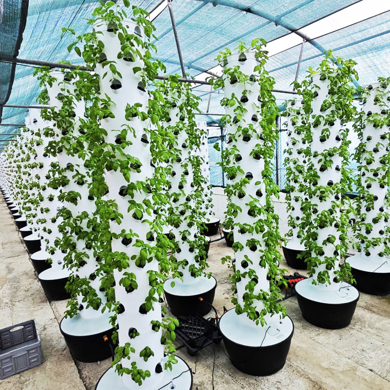 Hydroponic System - 高品質簡単設置小型垂直水耕栽培タワー栽培システム温室用自動水循環式-低価格