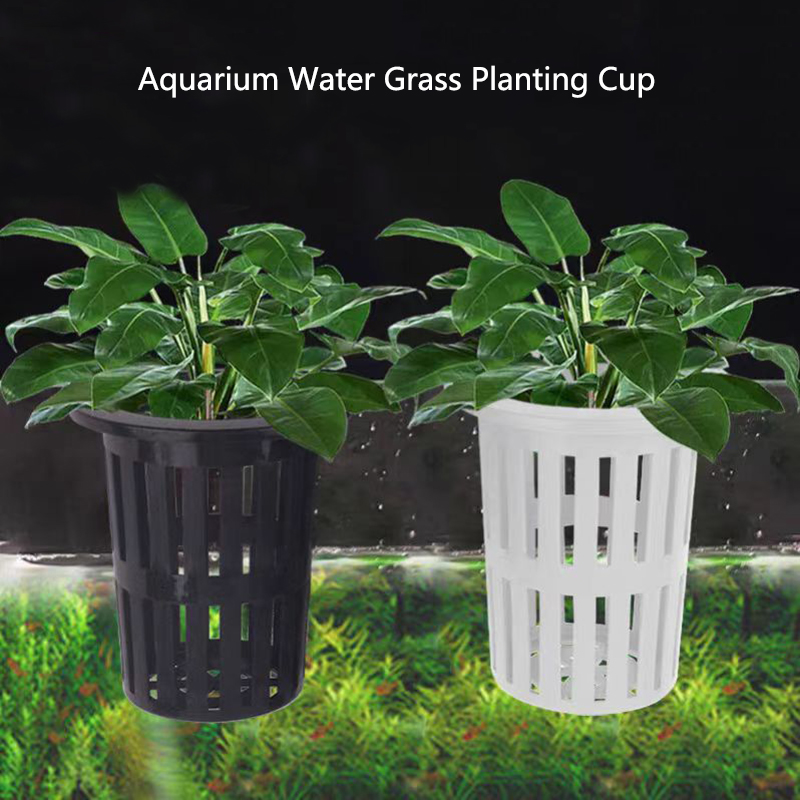 Hanging Planter Basket - 1/3 個水族館植物バスケット壁掛け水耕吊りプランター水槽水生水植物ホルダー吊り下げフック付き