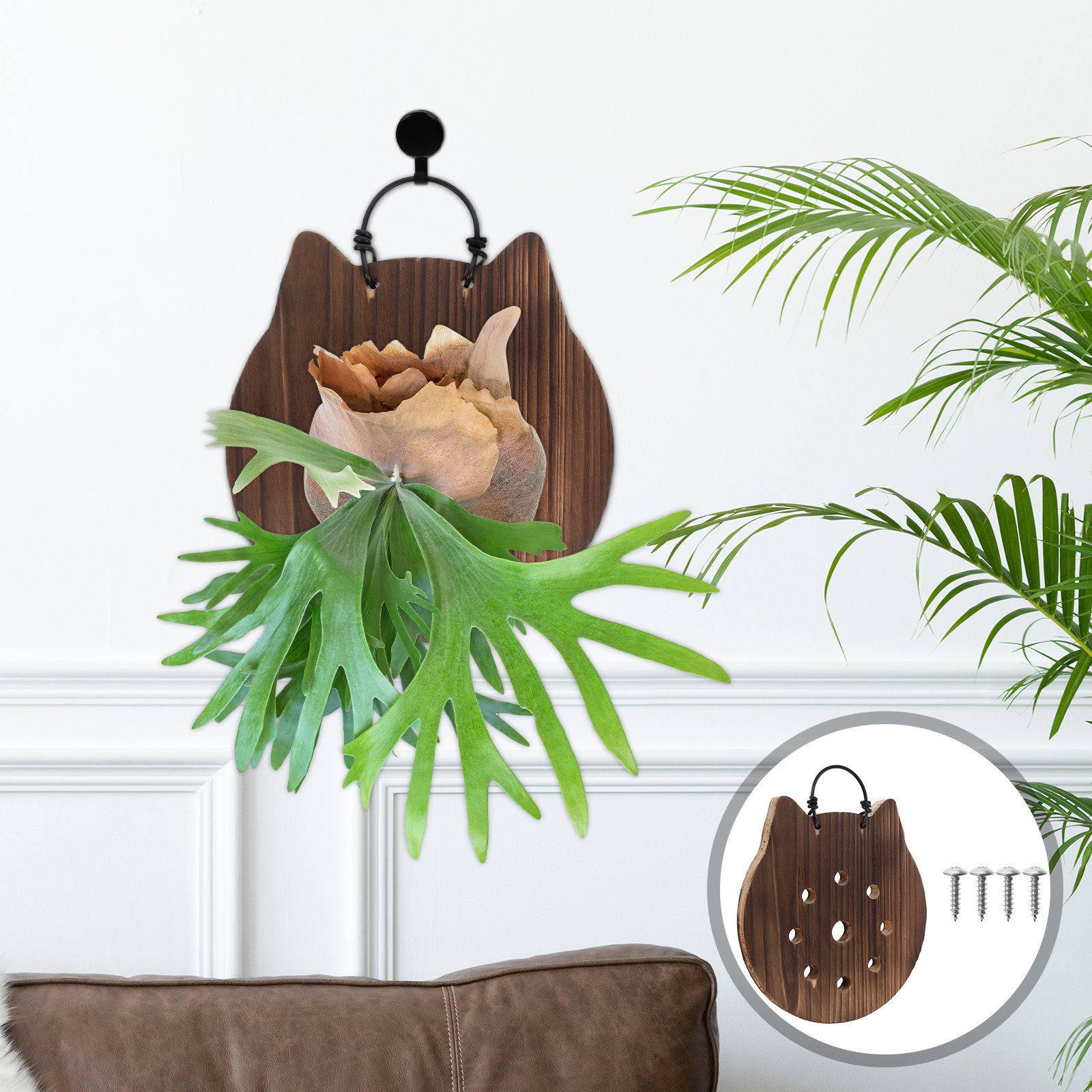 猫型のシダ植物用マウントボード、天然無垢材の吊り下げ式植物ボ - Vertical Wall Planter のレビューと価格