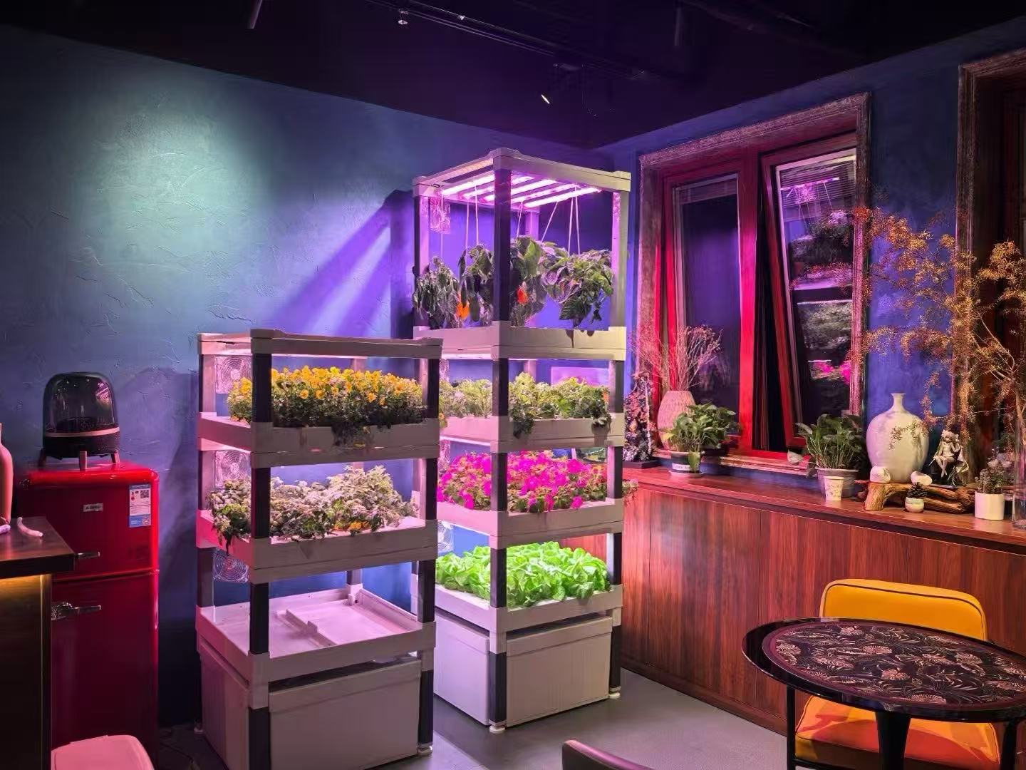 新型自動家庭用垂直水耕栽培システム散水ポンプ環境に優しい食品 - Hydroponic System のレビューと価格
