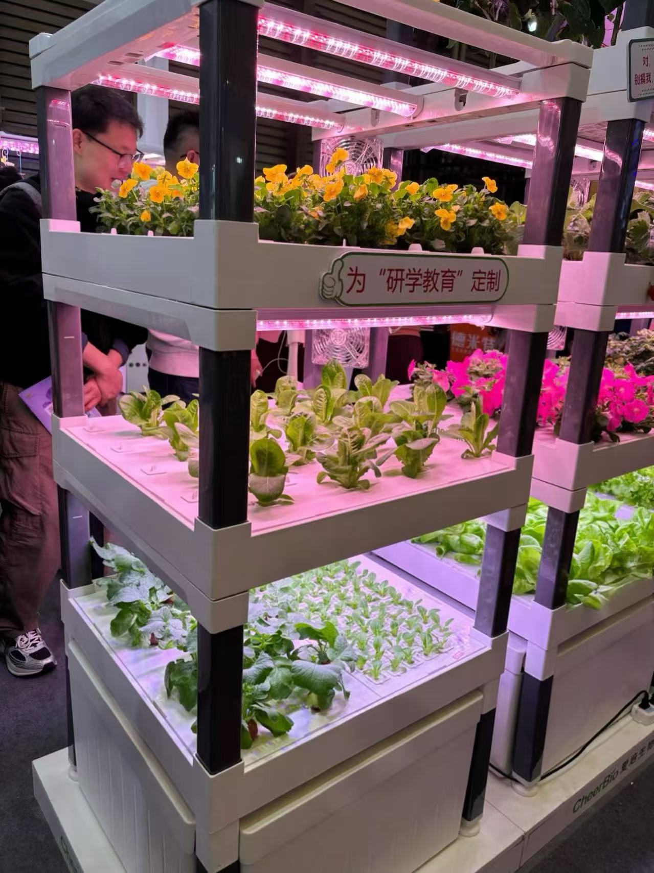 新型自動家庭用垂直水耕栽培システム散水ポンプ環境に優しい食品 - Hydroponic System のレビューと価格