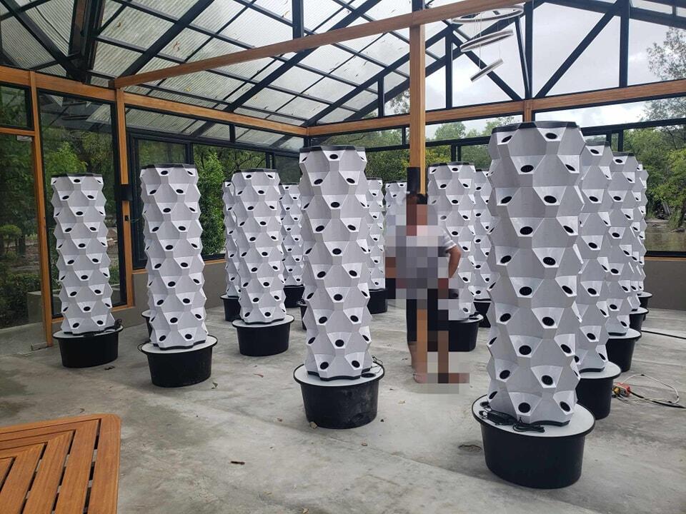 温室垂直農法水耕栽培タワーガーデン垂直水耕システム - Hydroponic System のレビューと価格