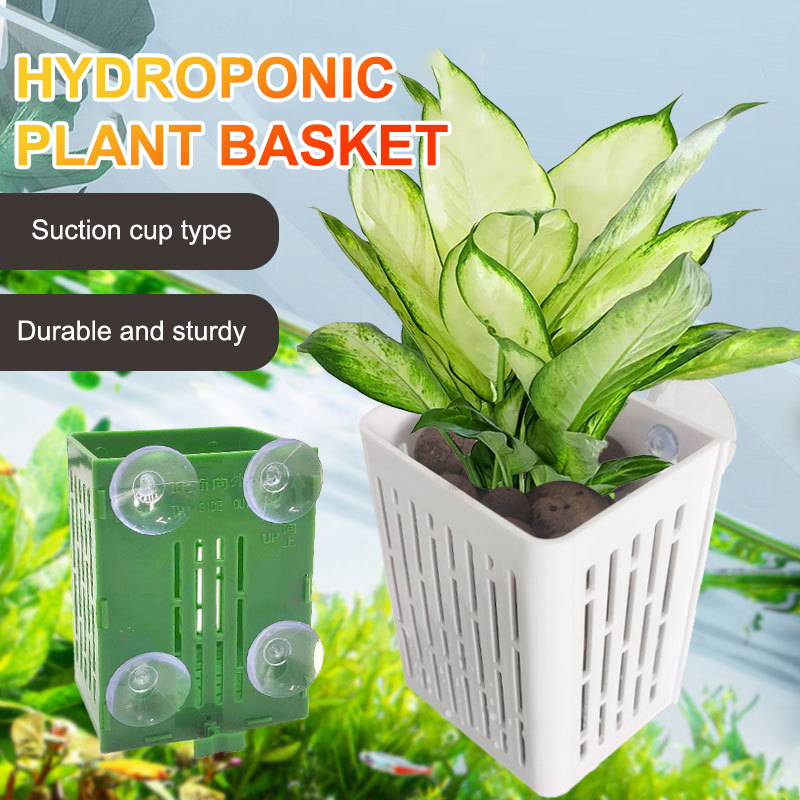 ハンギングサクションカップフック水族館植物ホルダー、プラスチ - Hanging Planter Basket のレビューと価格