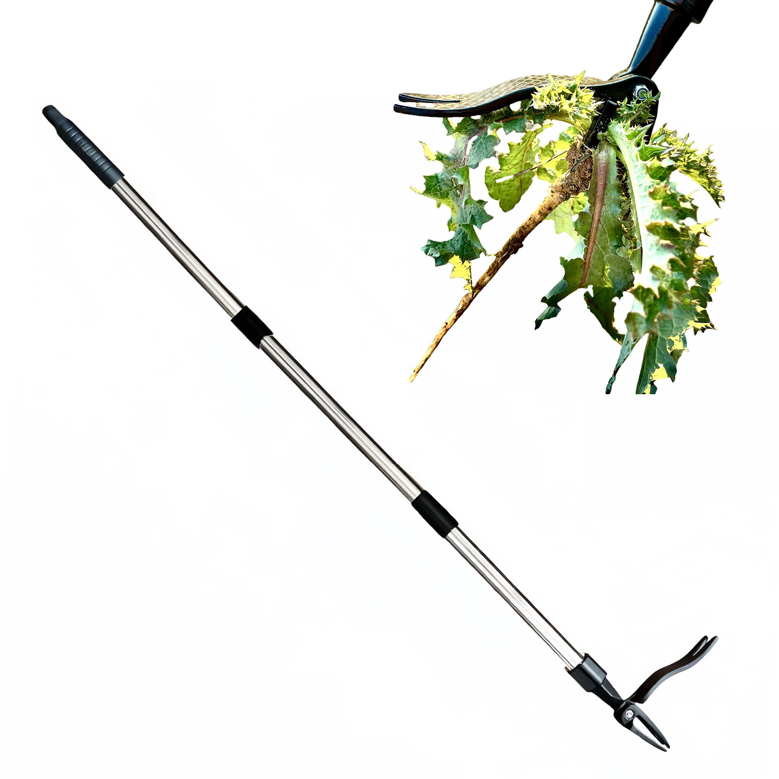 4 爪スタンドアップ雑草抜きスタンドアップ雑草抜き 44 イ - Gardening Tools To Remove Weeds のレビューと価格