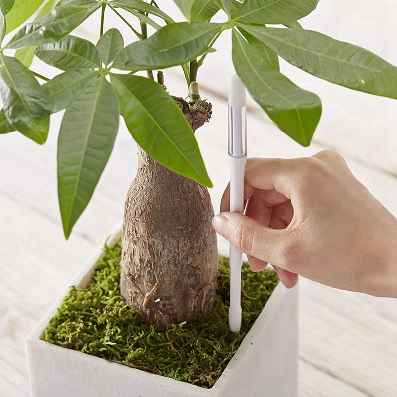 アクアメーター、5個入り、植物土壌水分センサー、室内植物土壌 - Moisture Meter Plant のレビューと価格