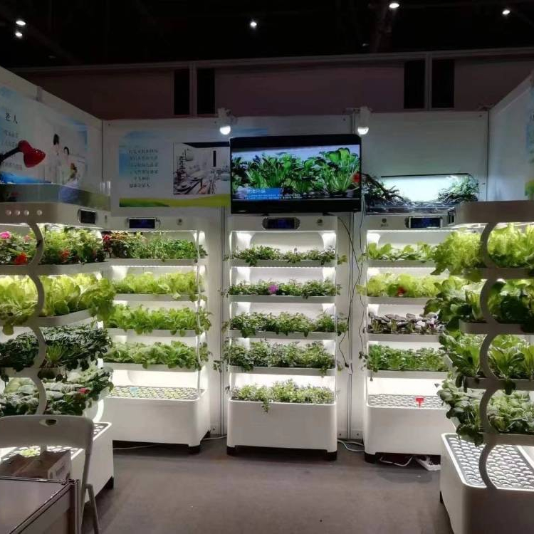 インテリジェント水耕栽培システム 家庭用制御可能水耕栽培装置 - Hydroponic System のレビューと価格