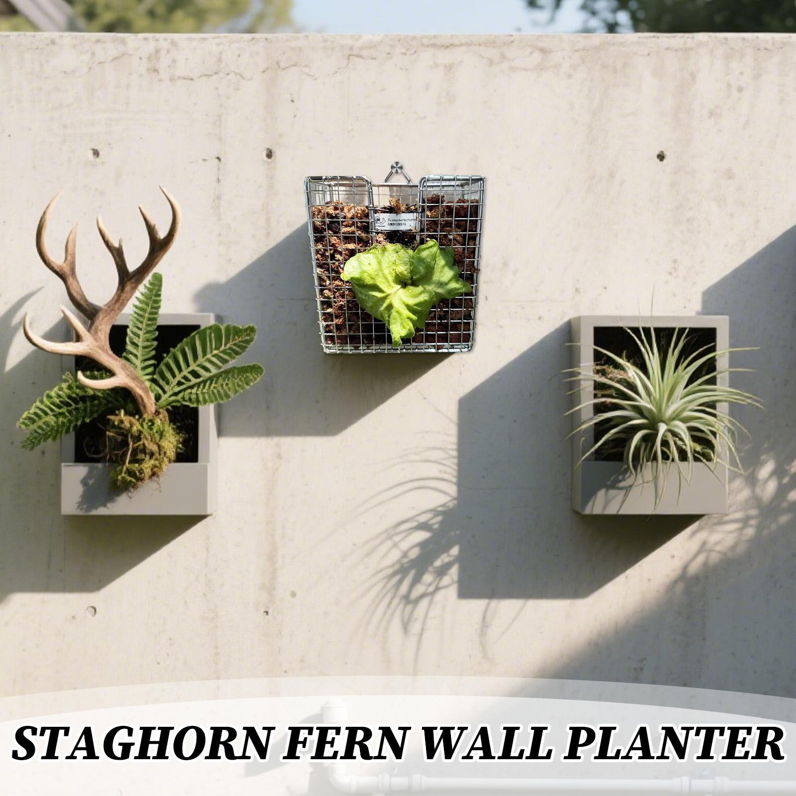 スタッグホーンシダ取り付けキット ステンレス製壁掛けプランタ - Vertical Wall Planter のレビューと価格