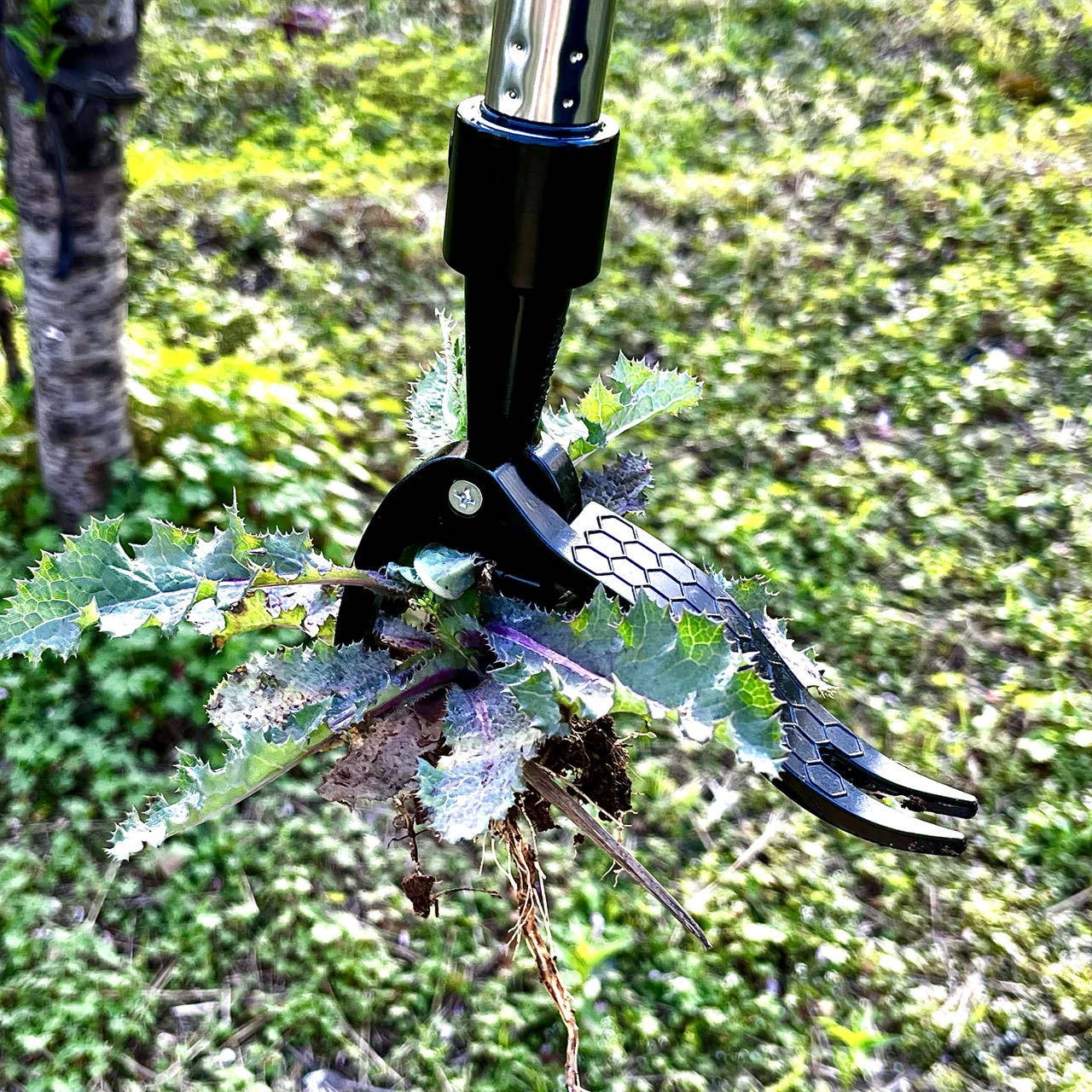 省力ハンド金属雑草抽出器スタンドアップガーデンハンドツール雑 - Gardening Tools You Need のレビューと価格