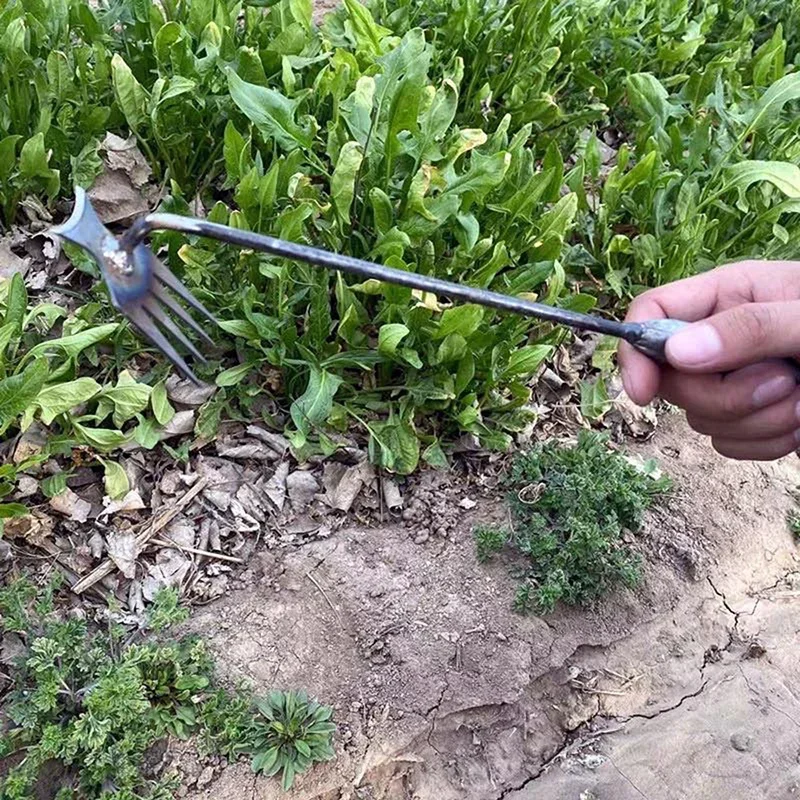庭用除草機、マンガン鋼製手動除草機、根のない土壌をほぐす手動 - Gardening Tools To Remove Weeds のレビューと価格