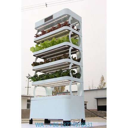 家庭用ハイドロポニック栽培システム新登場 室内スマートガーデ - Hydroponic System のレビューと価格