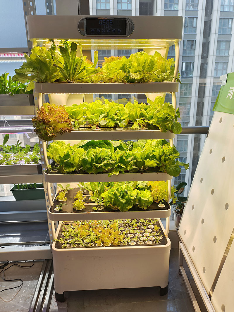 野菜、レタス、イチゴを栽培するための農業機械、垂直栽培システ - Hydroponic System のレビューと価格