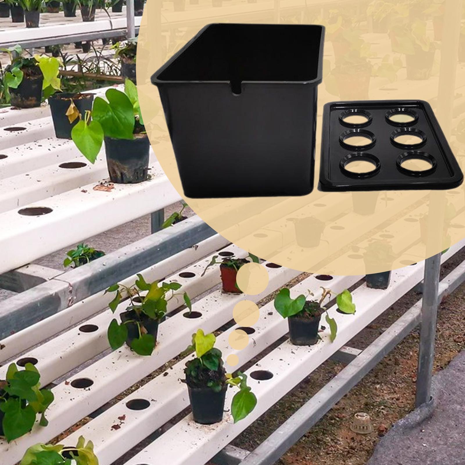 水耕栽培キット 初心者向け機器 家庭用水耕栽培苗システム レ - Hydroponic System のレビューと価格