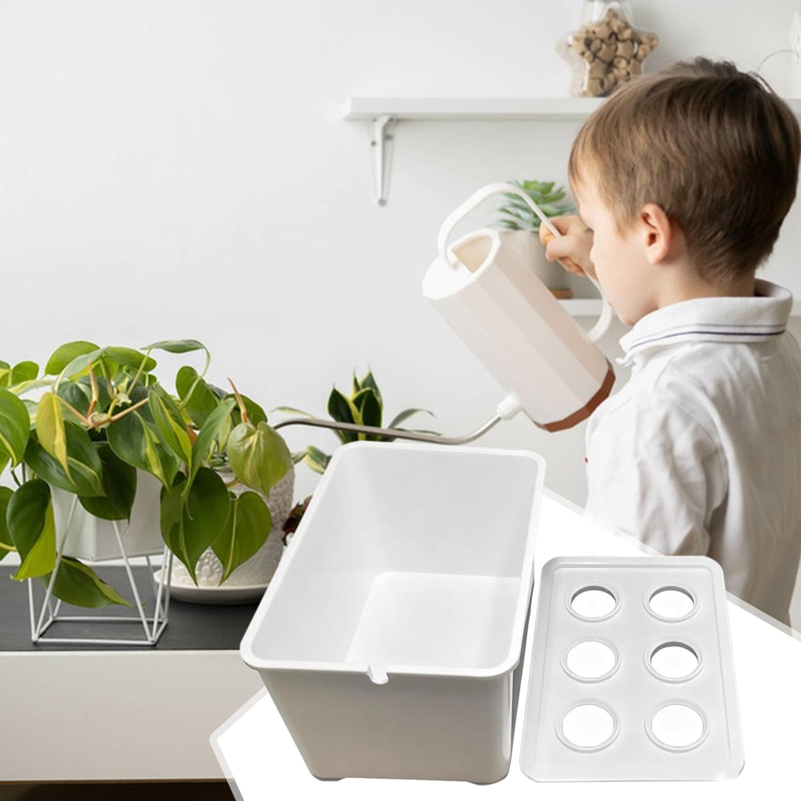 水耕栽培キット 初心者向け機器 家庭用水耕栽培苗システム レ - Hydroponic System のレビューと価格