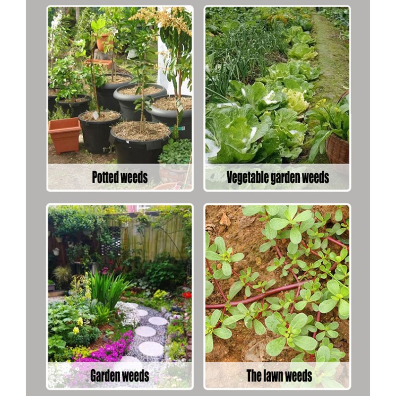 N96R 手動除草機 ガーデンツール-取り外し可能な根除去器 - Gardening Tools To Remove Weeds のレビューと価格
