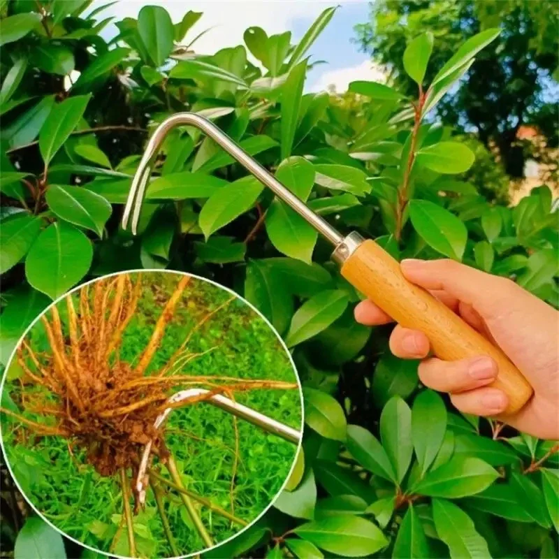 ステンレス鋼ガーデニングピンダー手動取り外しポータブルツール - Gardening Tools To Remove Weeds のレビューと価格