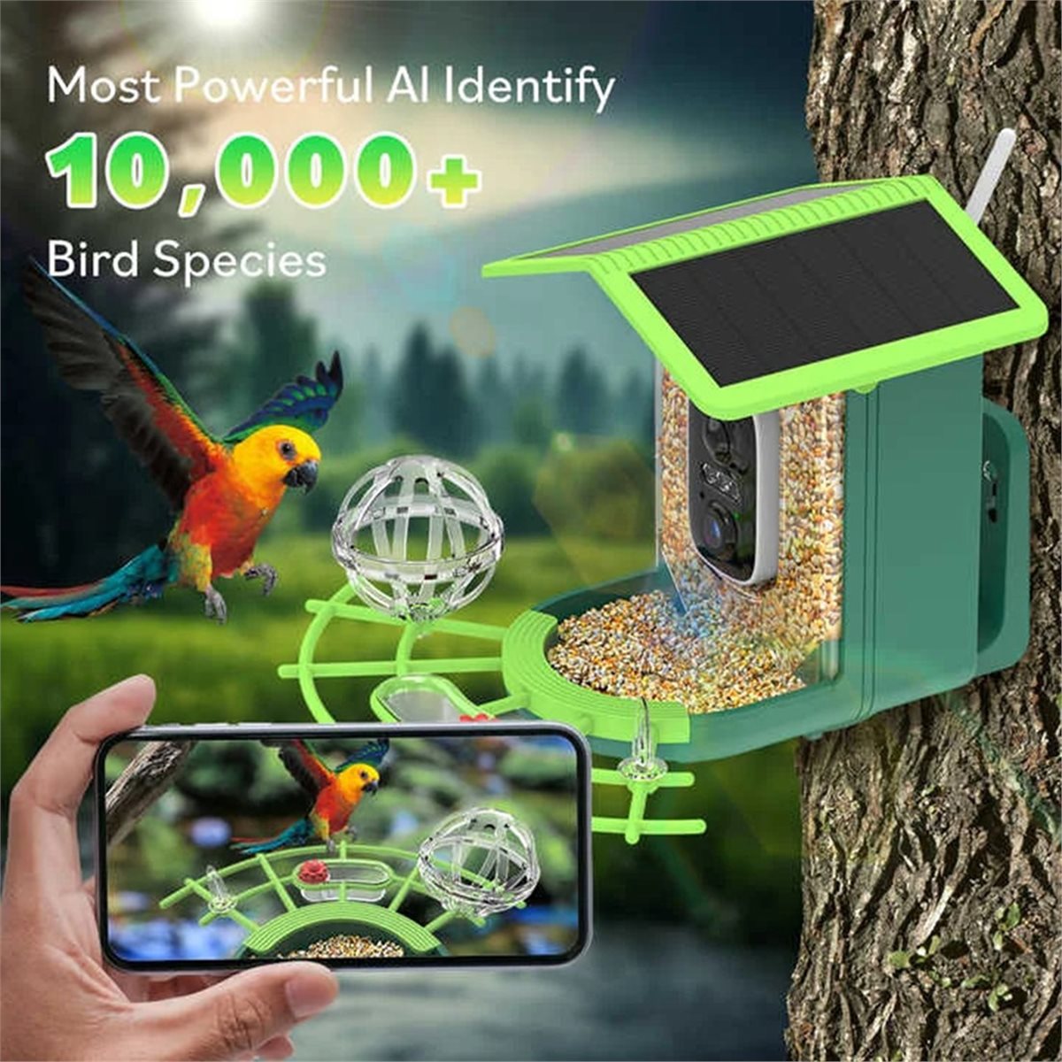 ABPPスマートバードフィーダーカメラ（AI種識別機能搭載、 - Gardening Tools Video のレビューと価格