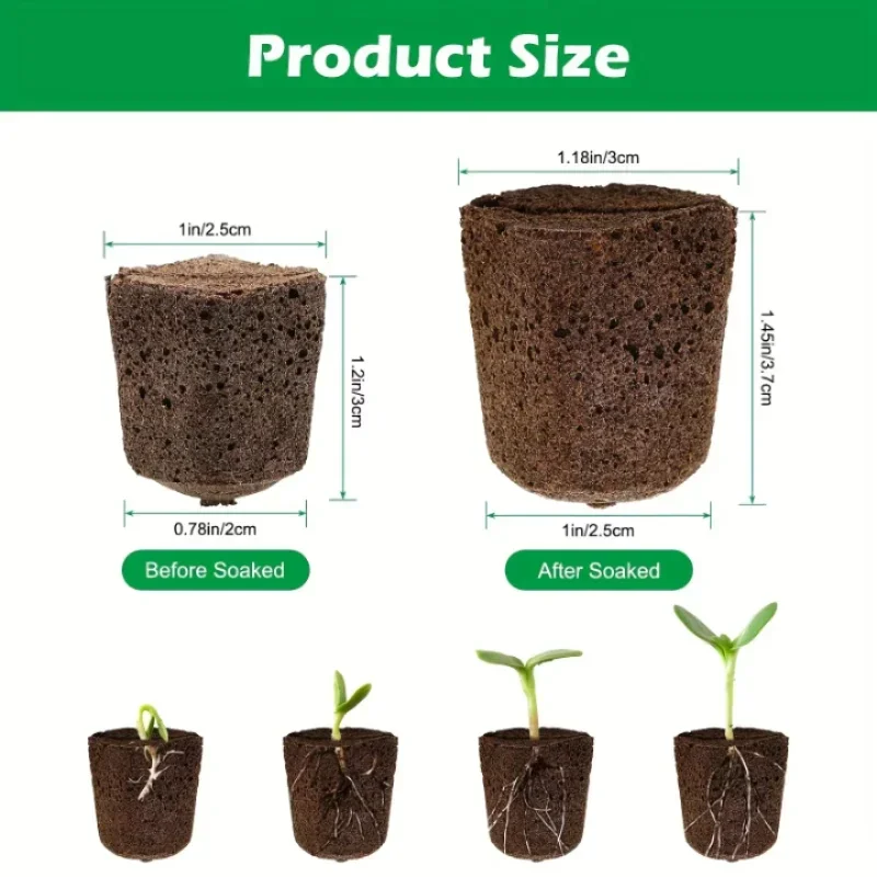 水耕栽培室内庭園システム用苗スタータースポンジキット、成長ス - Hydroponic System のレビューと価格