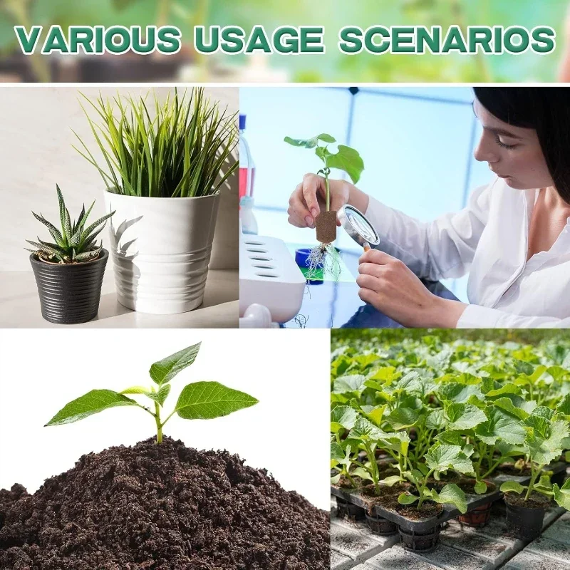 水耕栽培室内庭園システム用苗スタータースポンジキット、成長ス - Hydroponic System のレビューと価格