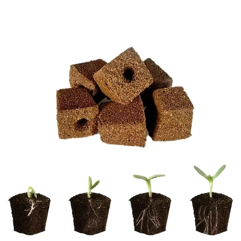 水耕栽培室内庭園システム用苗スタータースポンジキット、成長ス - Hydroponic System のレビューと価格