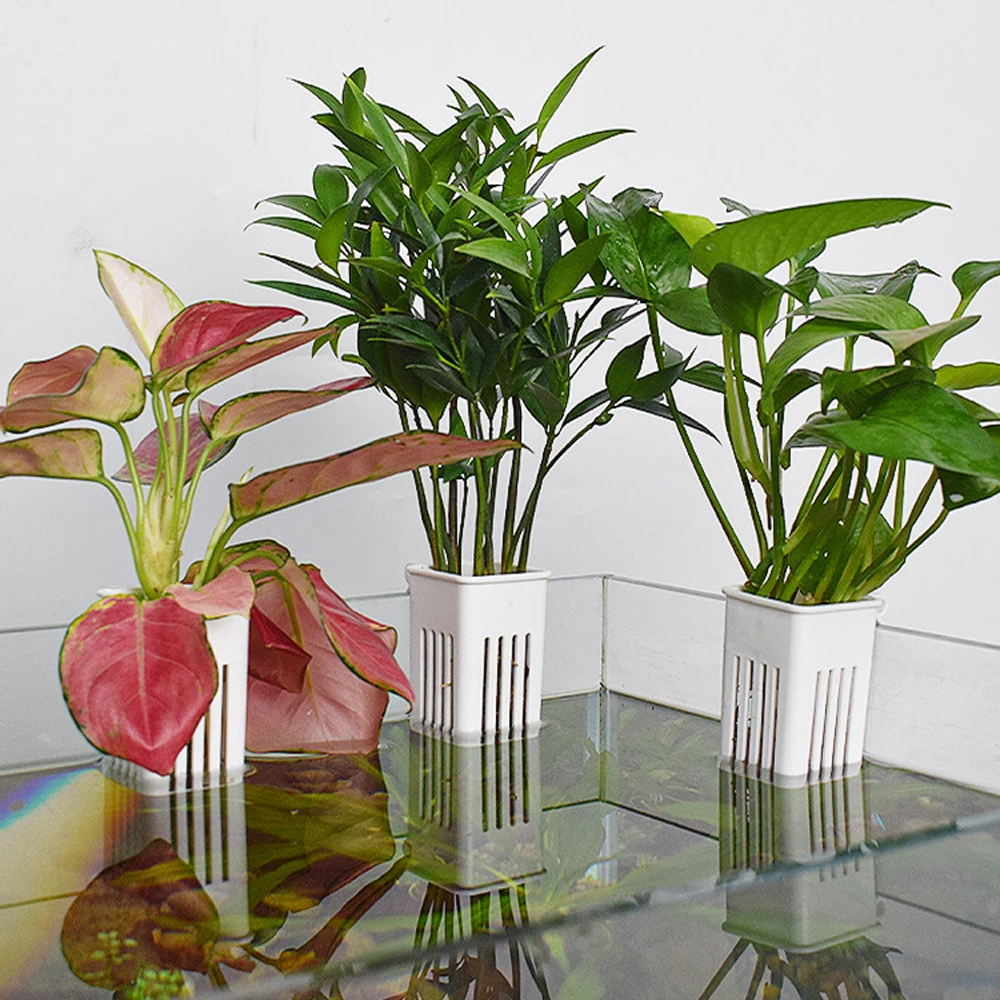 1 PC 水族館水耕プランター壁掛け簡単インストール水槽装飾 - Hanging Planter Basket のレビューと価格