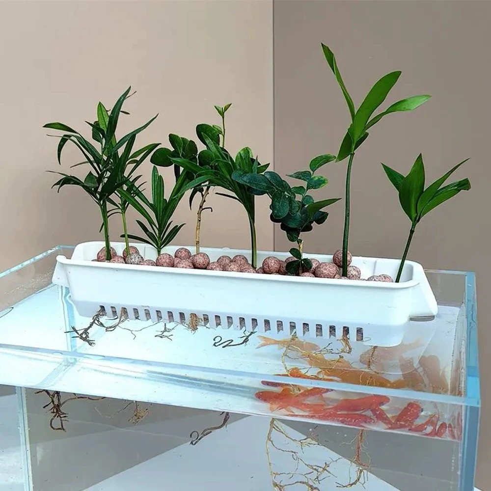 1 PC 水族館水耕プランター壁掛け簡単インストール水槽装飾 - Hanging Planter Basket のレビューと価格