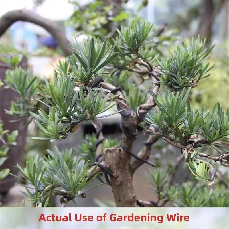 1.5MM盆栽ワイヤー アルミ盆栽トレーニングワイヤー モデ - Gardening Tools And Accessories のレビューと価格