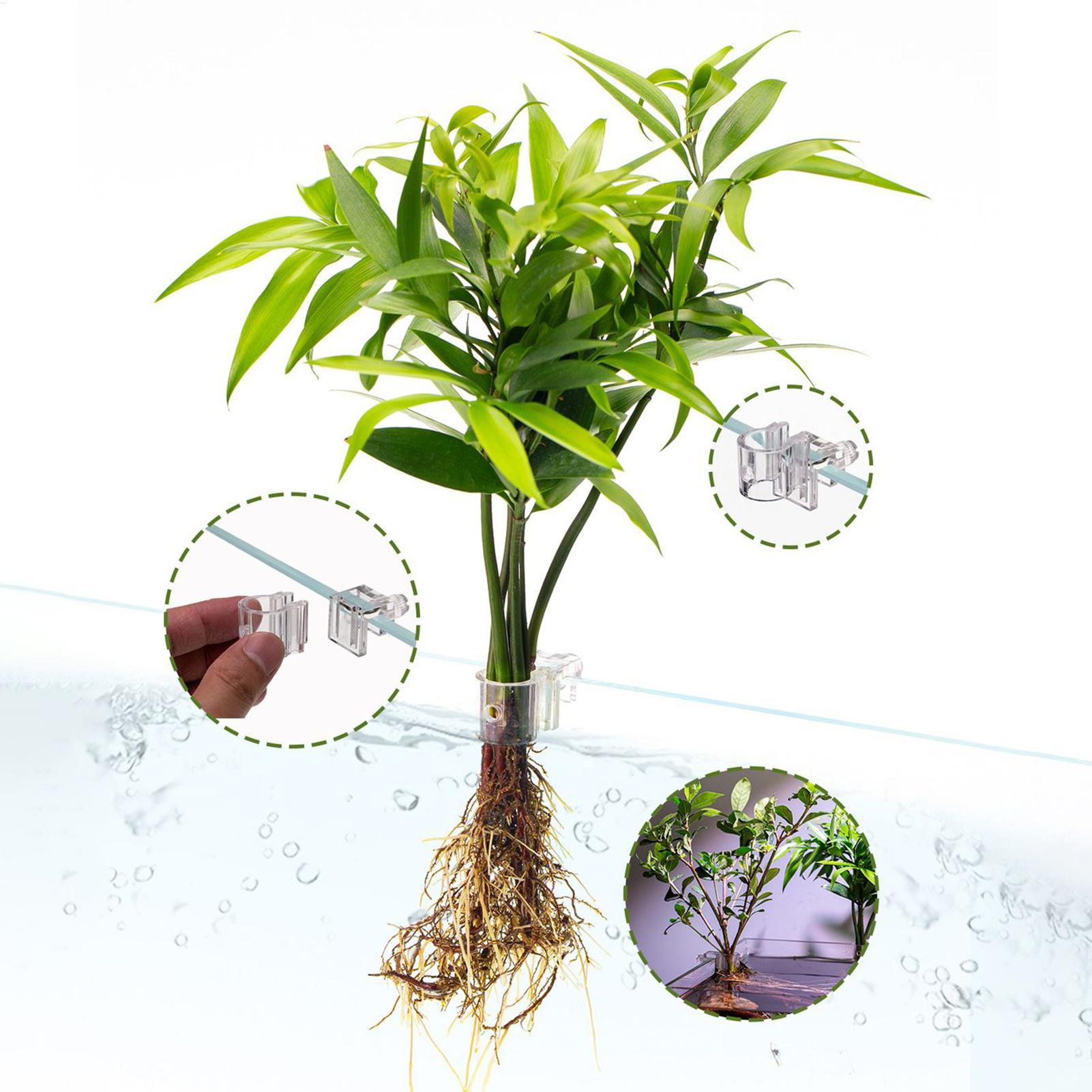 水槽植物バスケット透明水槽吊り下げ装飾ポット水生植物ホルダー - Hanging Planter Basket のレビューと価格