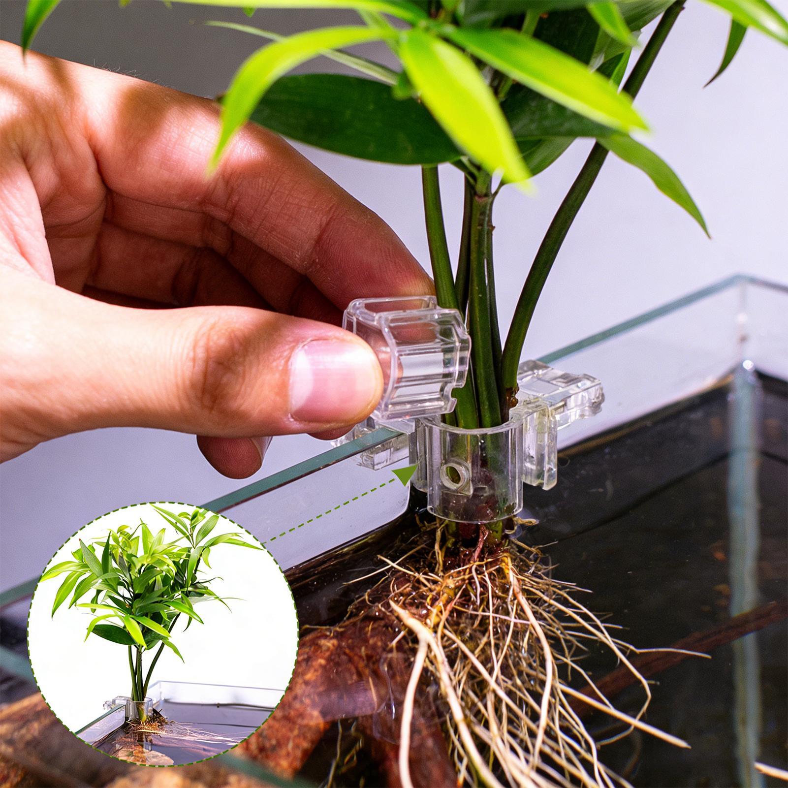 水槽植物バスケット透明水槽吊り下げ装飾ポット水生植物ホルダー - Hanging Planter Basket のレビューと価格