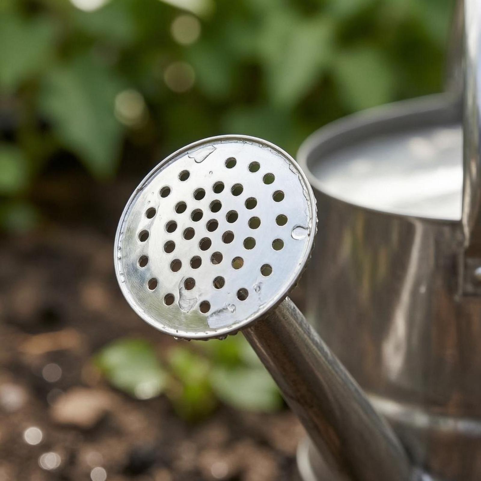 庭の花の水やり缶 ステンレス製 丈夫な植物用じょうろ 長い注 - Gardening Tools Long のレビューと価格