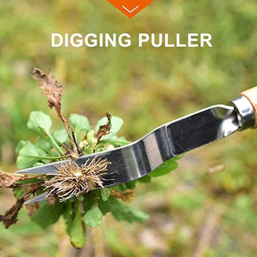 木製ハンドル付きステンレス製ガーデンピンセット,取り外し,カ - Gardening Tools To Remove Weeds のレビューと価格