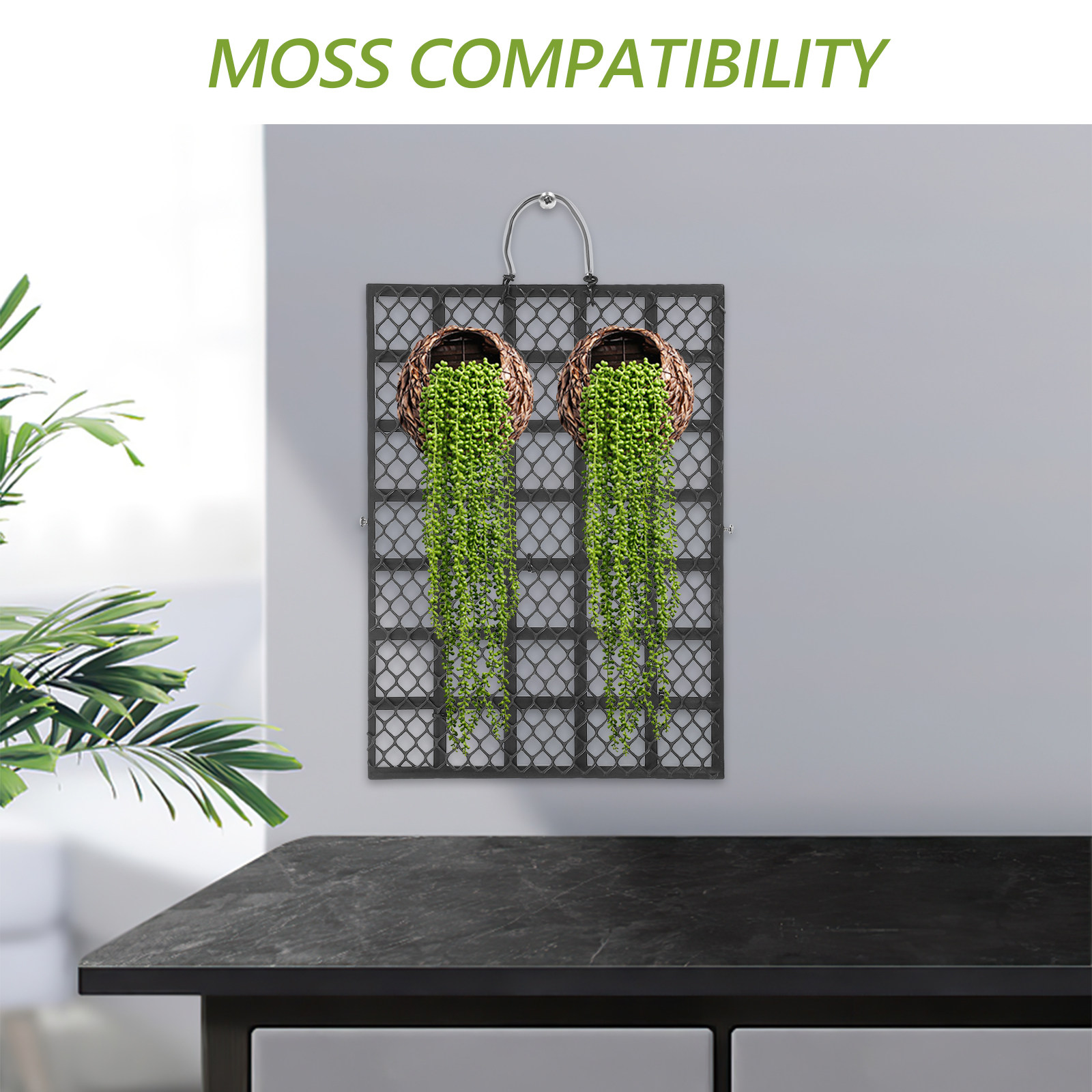 素朴な壁掛け式植栽ボード、スタッグホーンファーン用、簡単設置 - Vertical Wall Planter のレビューと価格