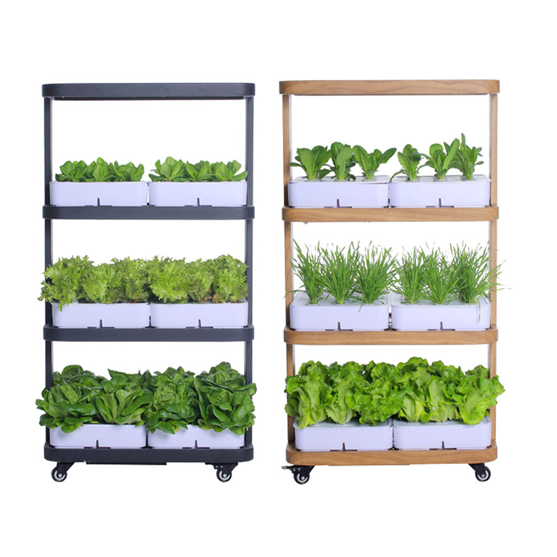 72穴6植栽ボックスLED育成ライト、太陽光の代わりに、LE - Hydroponic System のレビューと価格