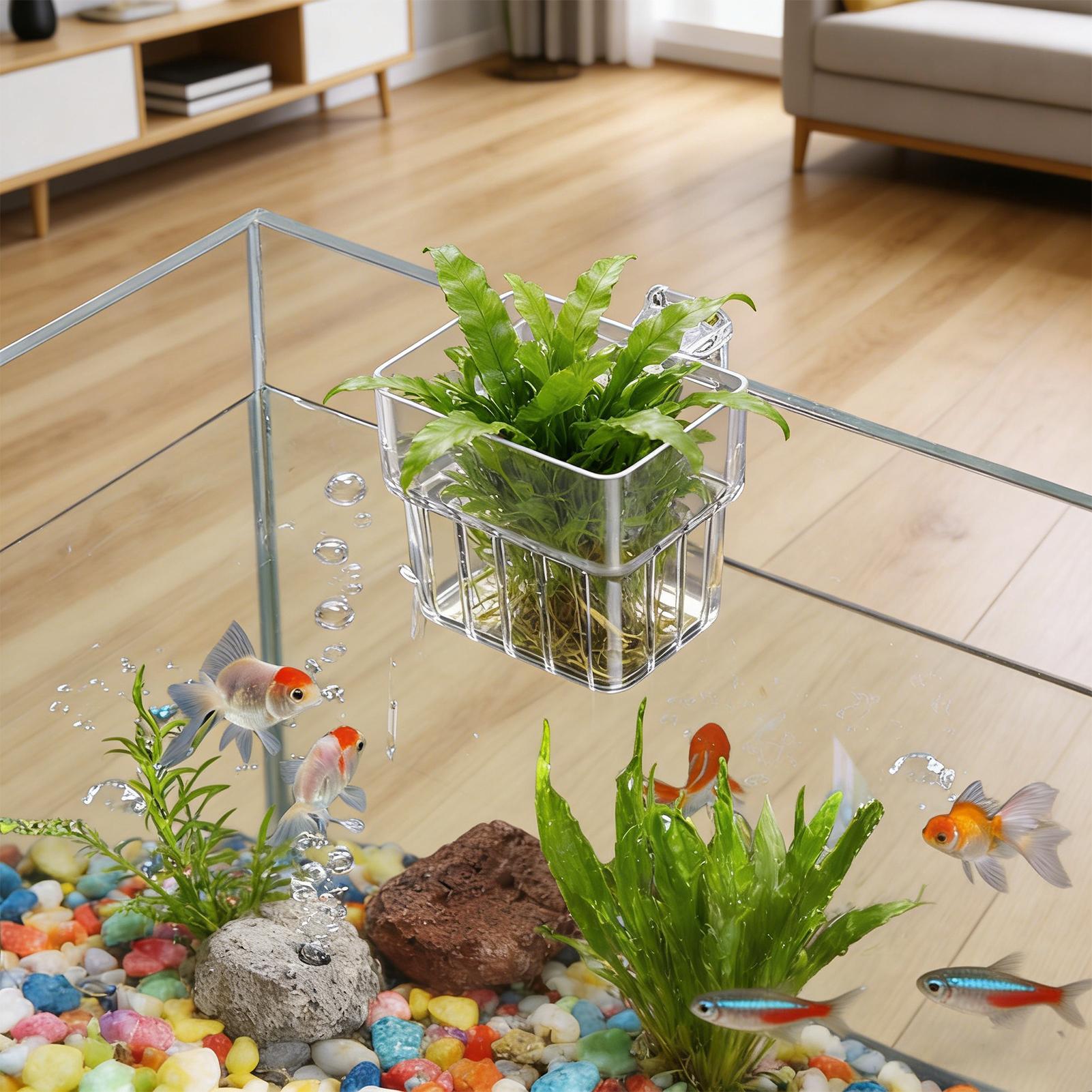水族館植物ホルダー透明吊り下げポット水槽用水生植物栽培アクア - Hanging Planter Basket のレビューと価格