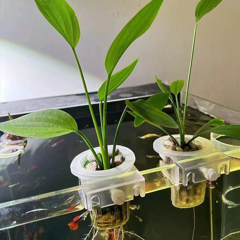 水槽、水族館の植栽バスケット、水グラスカップ、植物ホルダーの - Hanging Planter Basket のレビューと価格