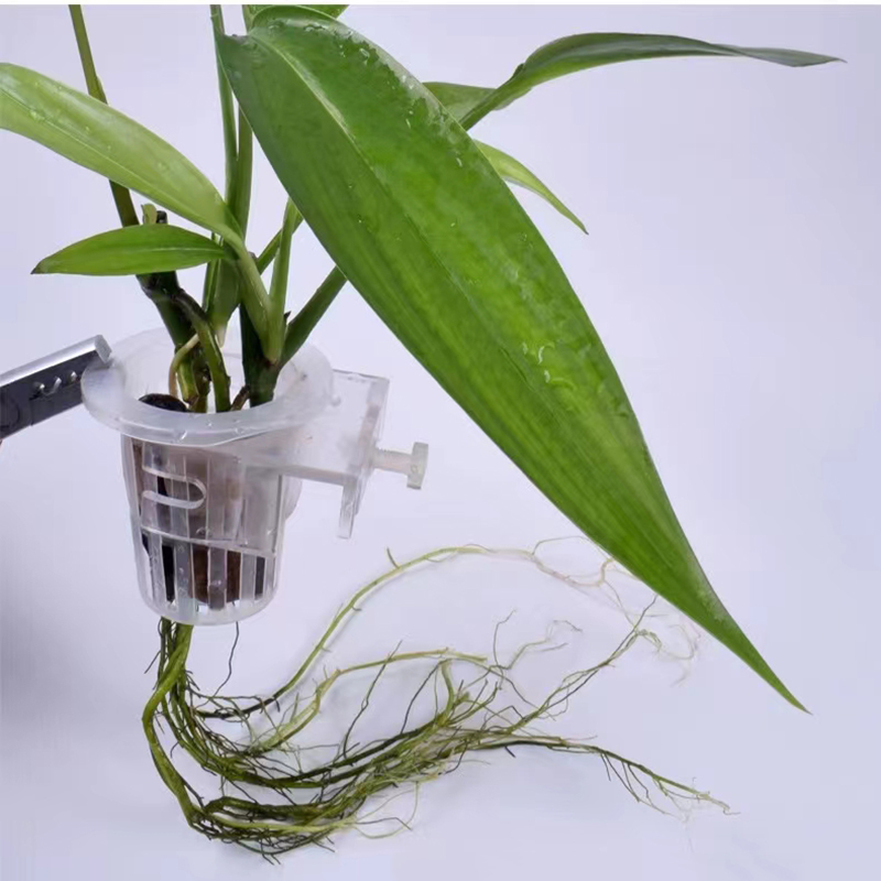 水槽、水族館の植栽バスケット、水グラスカップ、植物ホルダーの - Hanging Planter Basket のレビューと価格